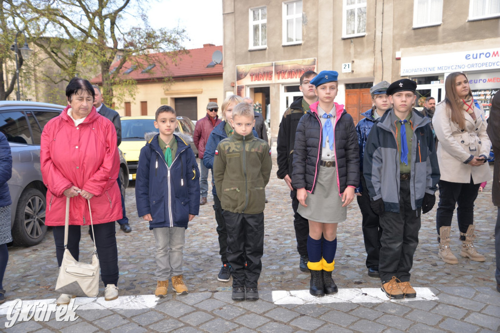 Tarnowskie Góry. Święto Niepodległości [ZDJĘCIA]