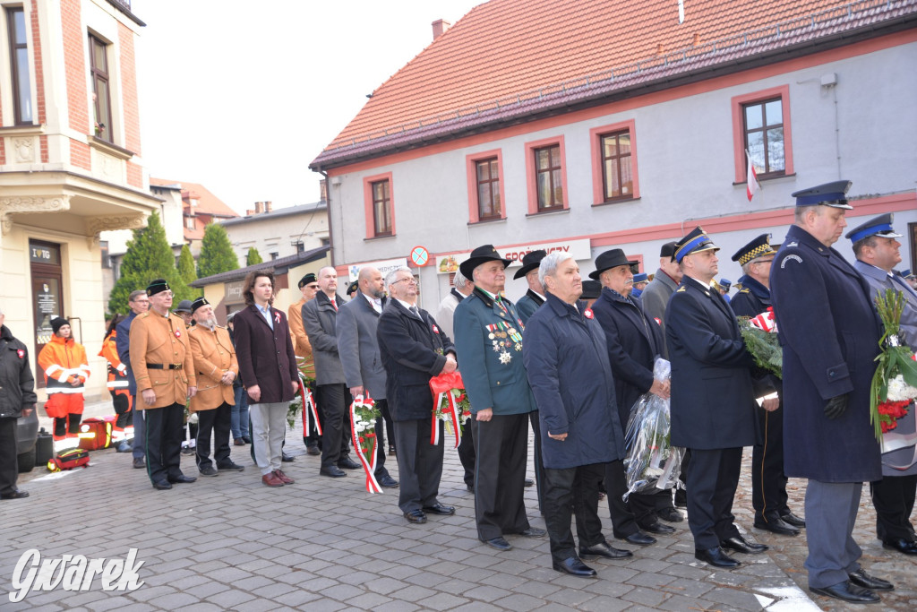 Tarnowskie Góry. Święto Niepodległości [ZDJĘCIA]