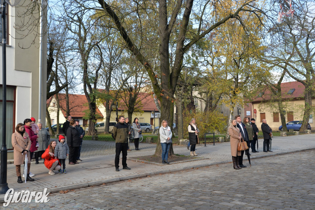 Tarnowskie Góry. Święto Niepodległości [ZDJĘCIA]