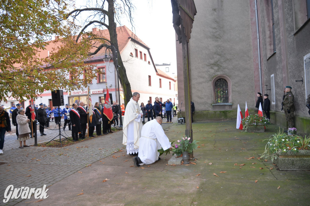 Tarnowskie Góry. Święto Niepodległości [ZDJĘCIA]