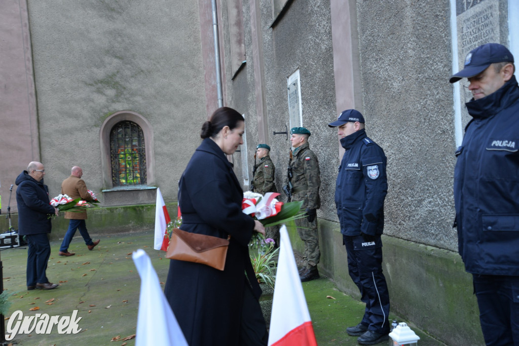 Tarnowskie Góry. Święto Niepodległości [ZDJĘCIA]