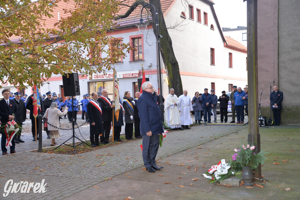 Tarnowskie Góry. Święto Niepodległości [ZDJĘCIA]