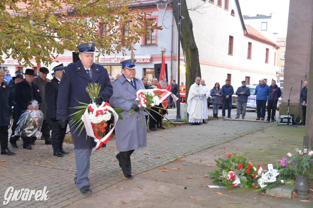 Tarnowskie Góry. Święto Niepodległości [ZDJĘCIA]