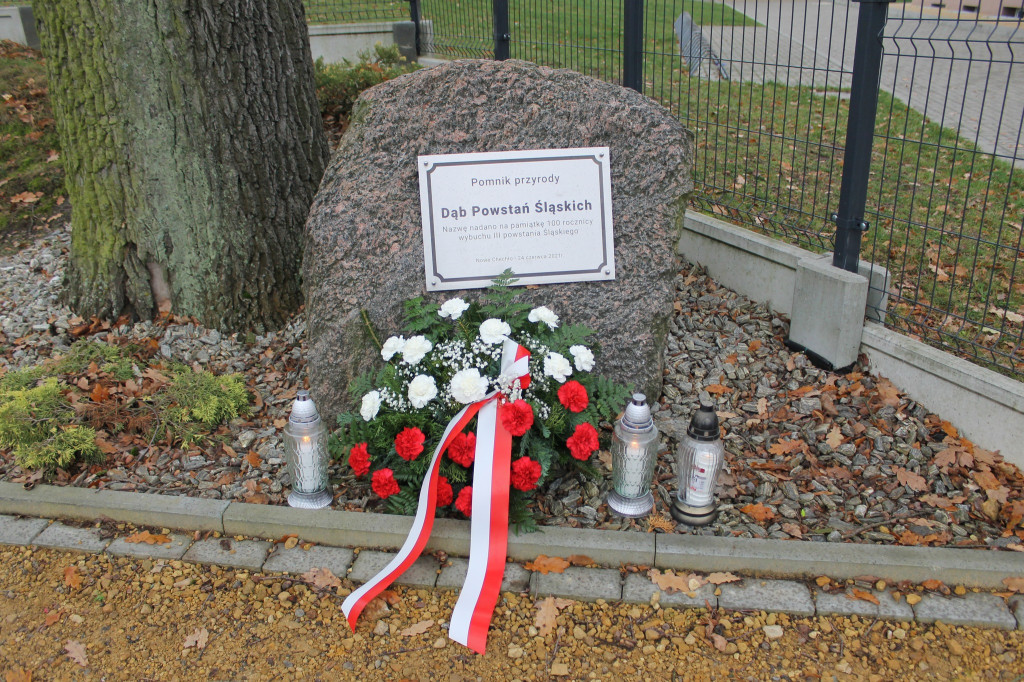 Jak obchodziliśmy Święto Niepodległości? [FOTO]