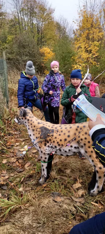 Łucznicy z Tarnowskich Gór na podium [ZDJĘCIA]