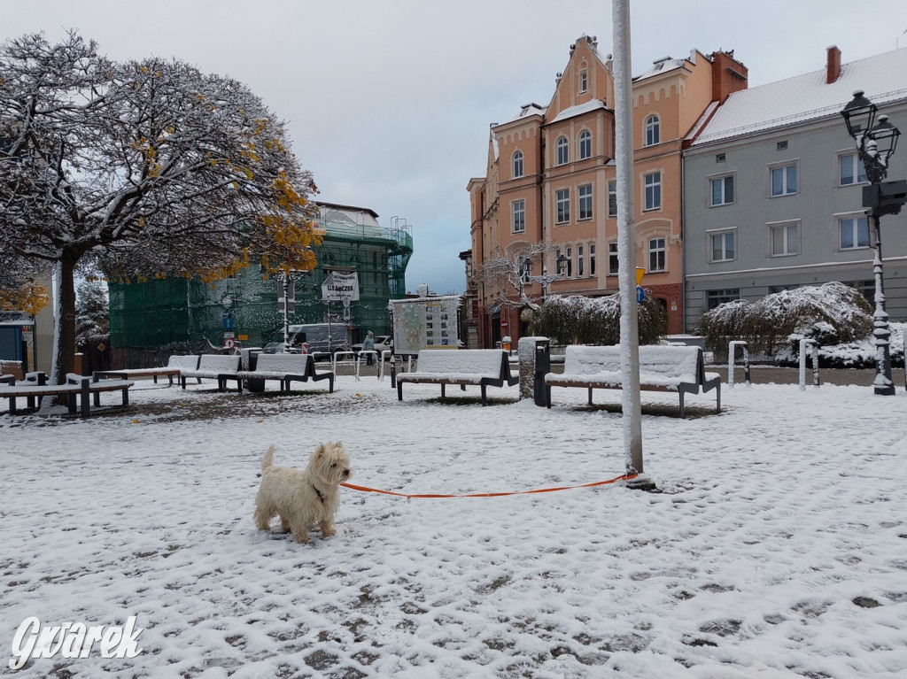 Zimowo na rynku w Tarnowskich Górach