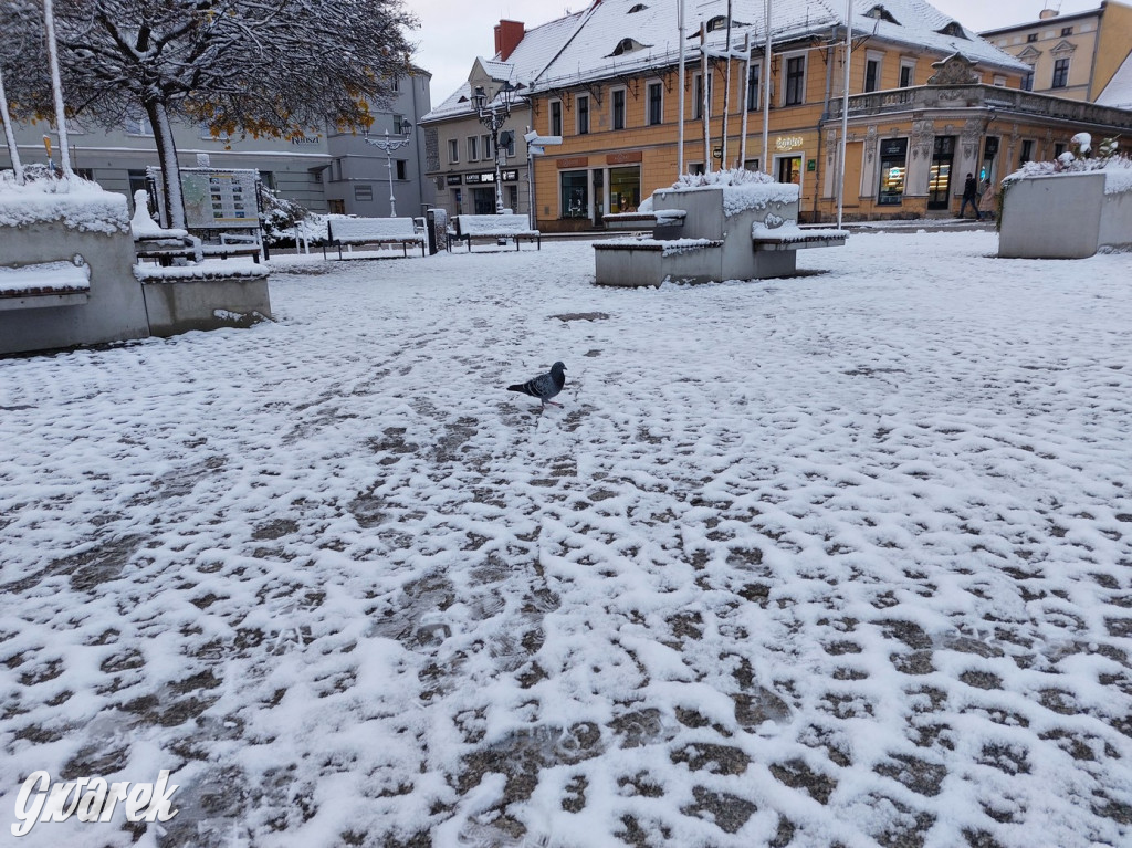 Zimowo na rynku w Tarnowskich Górach