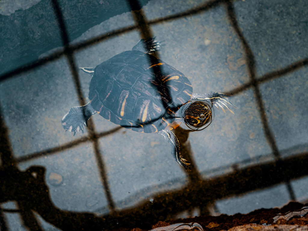 Otwarcie 2 grudnia, kosztowało 63 mln zł [CENNIK]