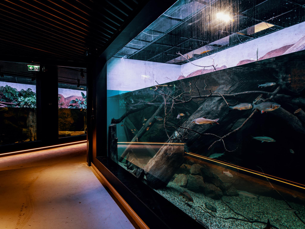 Otwarcie 2 grudnia, kosztowało 63 mln zł [CENNIK]