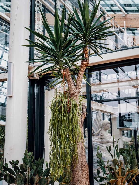 Otwarcie 2 grudnia, kosztowało 63 mln zł [CENNIK]