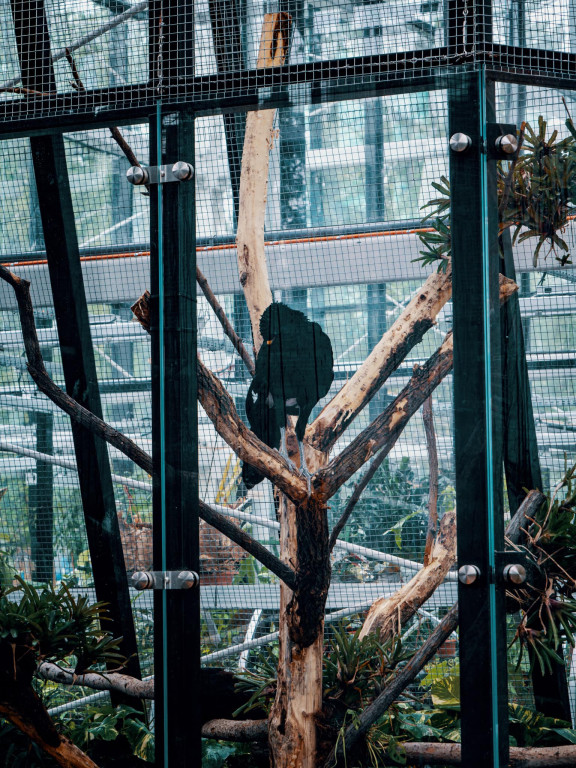 Otwarcie 2 grudnia, kosztowało 63 mln zł [CENNIK]