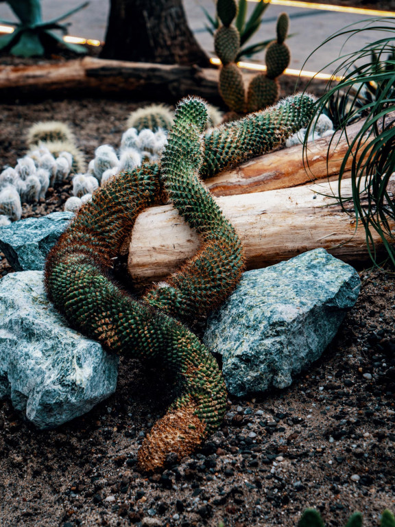 Otwarcie 2 grudnia, kosztowało 63 mln zł [CENNIK]