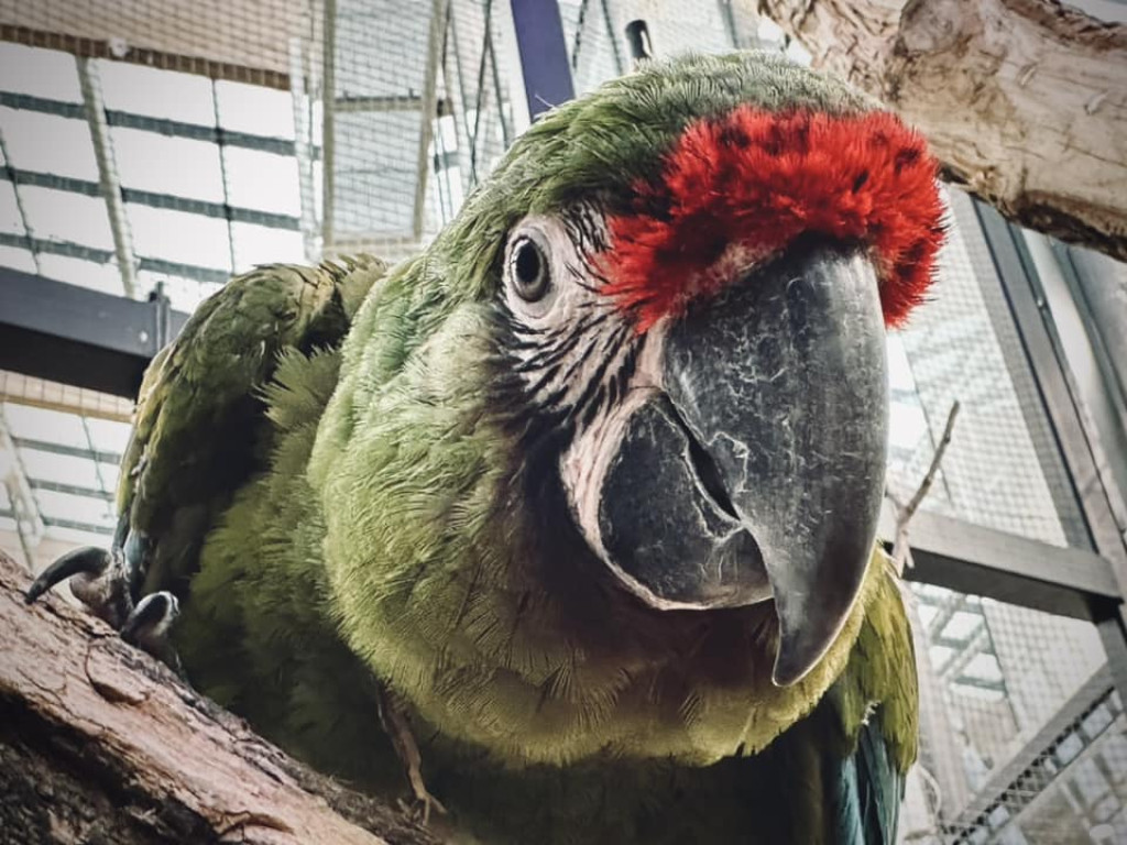 Otwarcie 2 grudnia, kosztowało 63 mln zł [CENNIK]