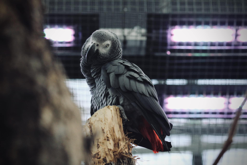 Otwarcie 2 grudnia, kosztowało 63 mln zł [CENNIK]