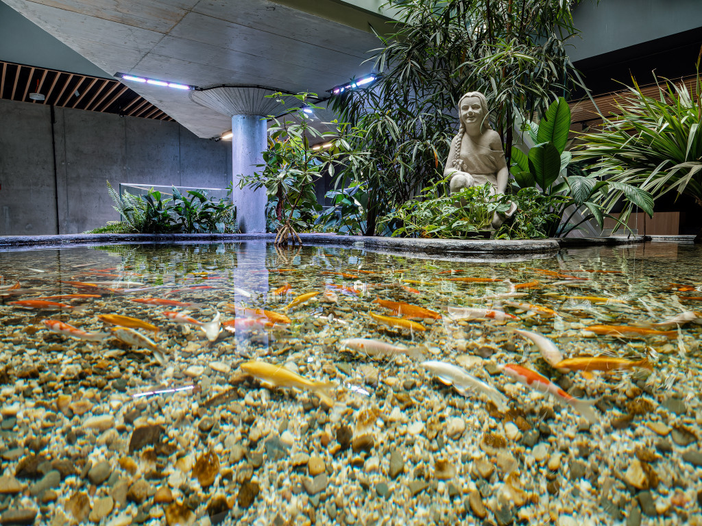 Otwarcie 2 grudnia, kosztowało 63 mln zł [CENNIK]