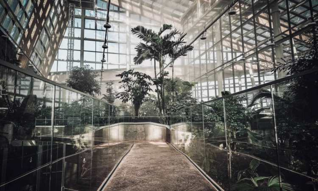 Otwarcie 2 grudnia, kosztowało 63 mln zł [CENNIK]