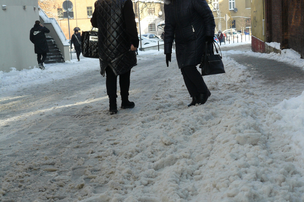 Tarnowskie Góry. Jak oceniacie akcję zima?
