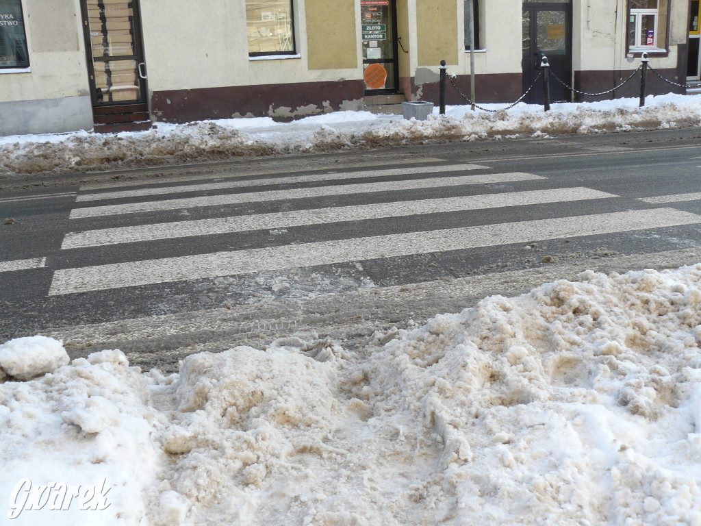 Tarnowskie Góry. Jak oceniacie akcję zima?
