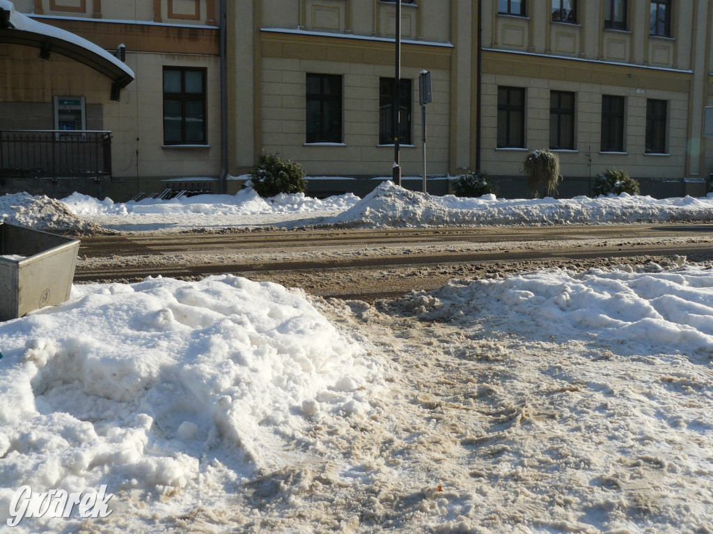 Tarnowskie Góry. Jak oceniacie akcję zima?