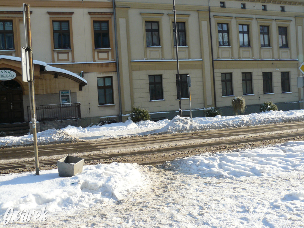 Tarnowskie Góry. Jak oceniacie akcję zima?