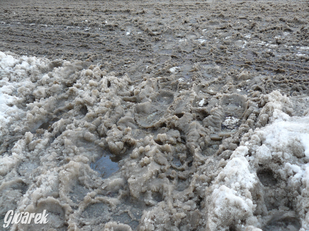 Tarnowskie Góry. Jak oceniacie akcję zima?