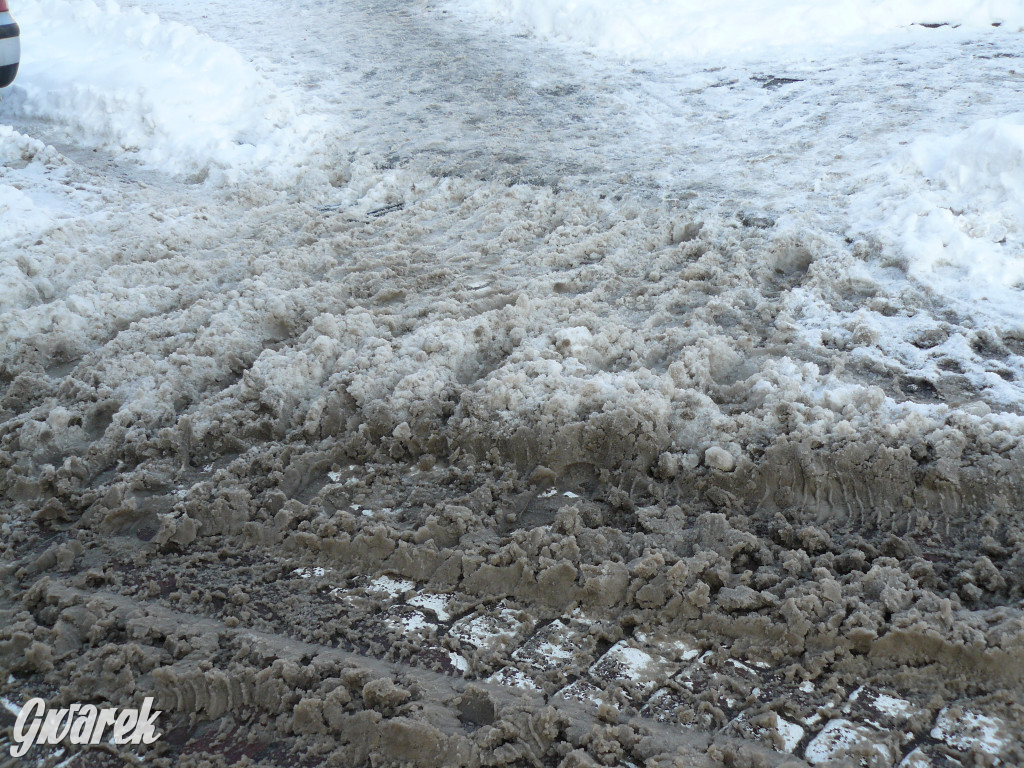 Tarnowskie Góry. Jak oceniacie akcję zima?