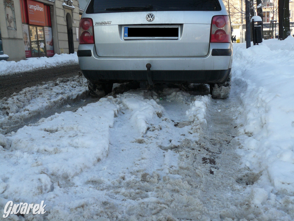 Tarnowskie Góry. Jak oceniacie akcję zima?