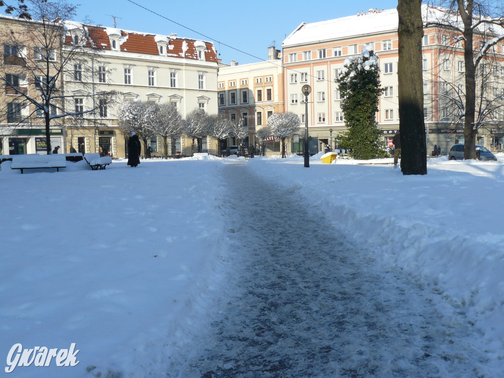 Tarnowskie Góry. Jak oceniacie akcję zima?