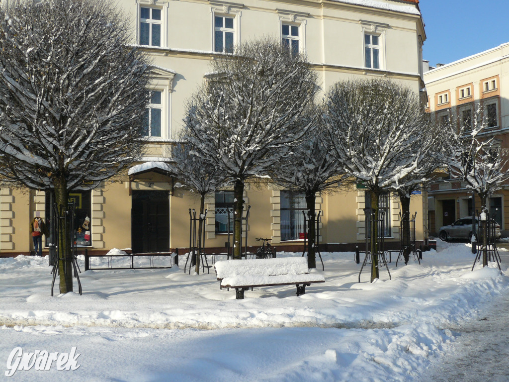 Tarnowskie Góry. Jak oceniacie akcję zima?