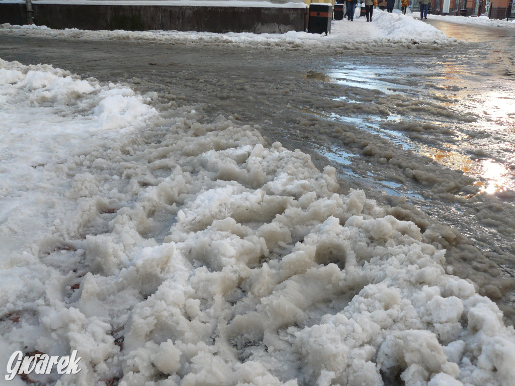 Tarnowskie Góry. Jak oceniacie akcję zima?
