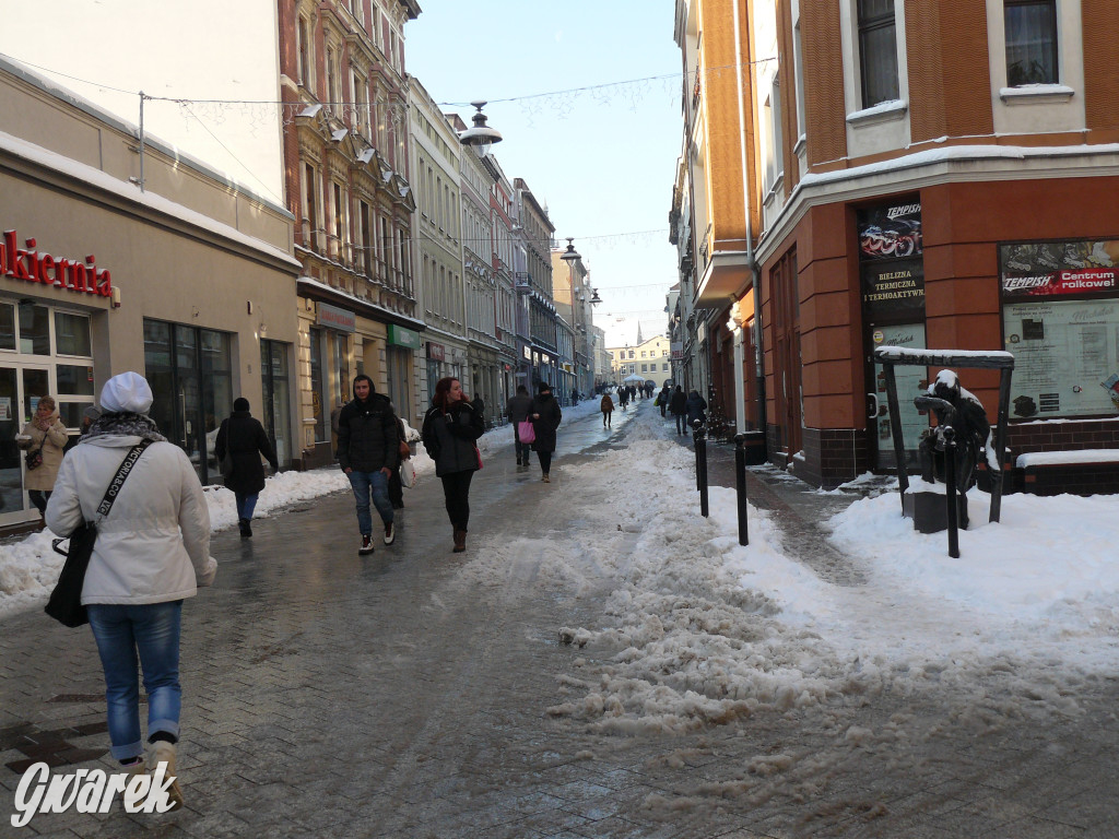 Tarnowskie Góry. Jak oceniacie akcję zima?