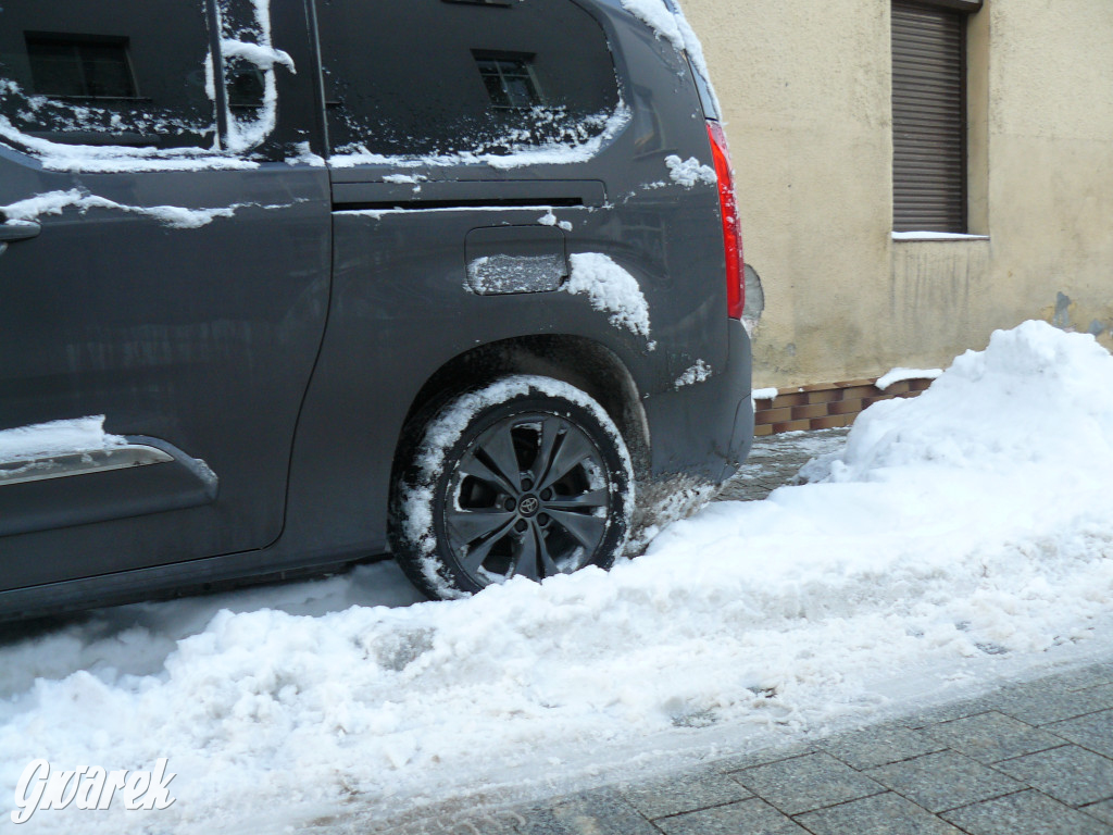 Tarnowskie Góry. Jak oceniacie akcję zima?