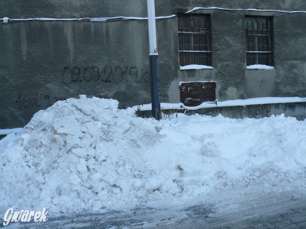 Tarnowskie Góry. Jak oceniacie akcję zima?