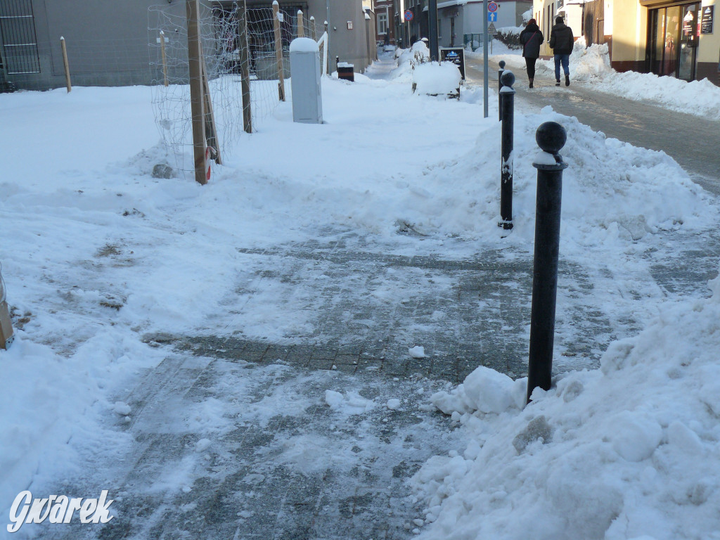 Tarnowskie Góry. Jak oceniacie akcję zima?
