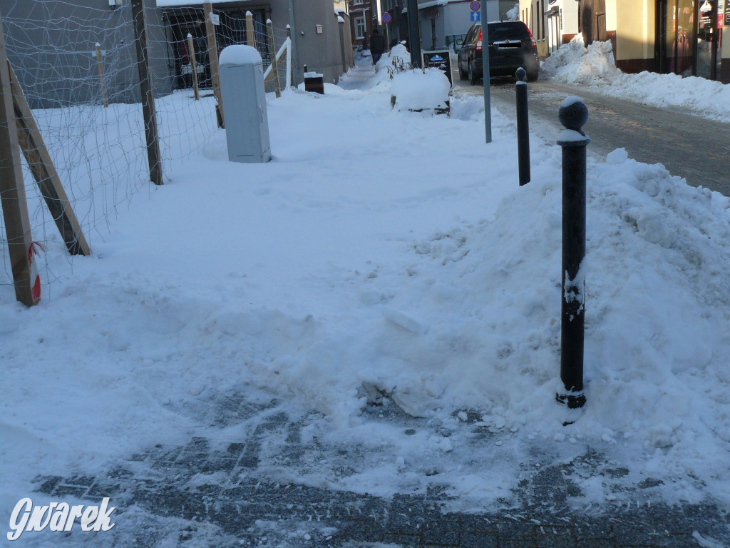 Tarnowskie Góry. Jak oceniacie akcję zima?