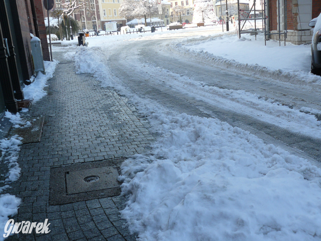 Tarnowskie Góry. Jak oceniacie akcję zima?