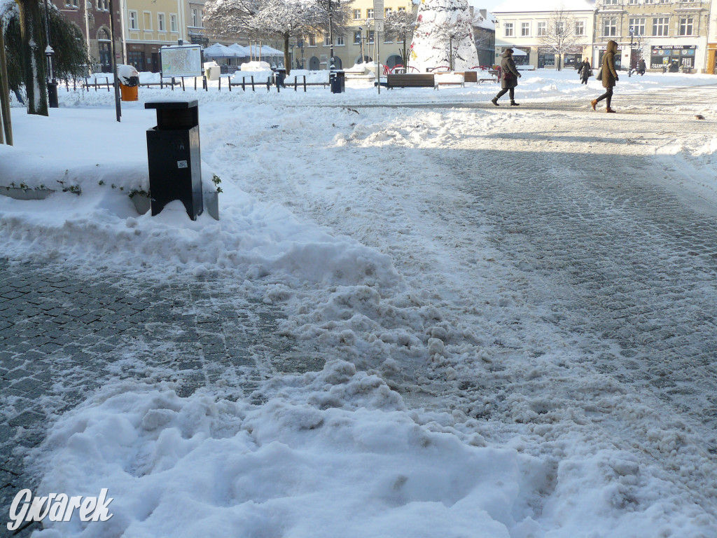 Tarnowskie Góry. Jak oceniacie akcję zima?
