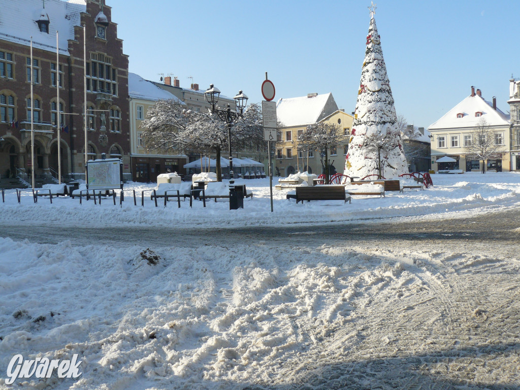 Tarnowskie Góry. Jak oceniacie akcję zima?
