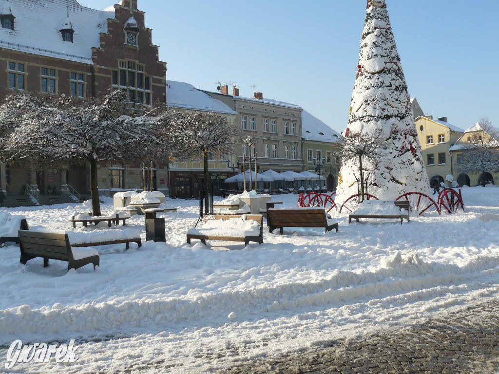 Tarnowskie Góry. Jak oceniacie akcję zima?