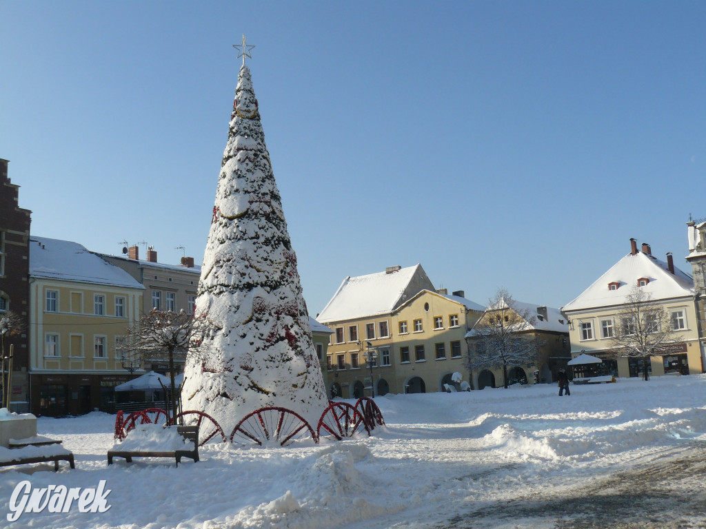 Tarnowskie Góry. Jak oceniacie akcję zima?