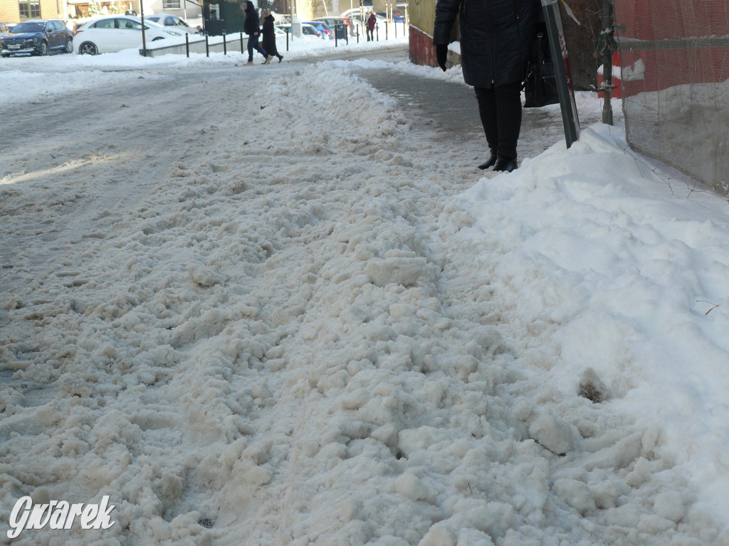 Tarnowskie Góry. Jak oceniacie akcję zima?