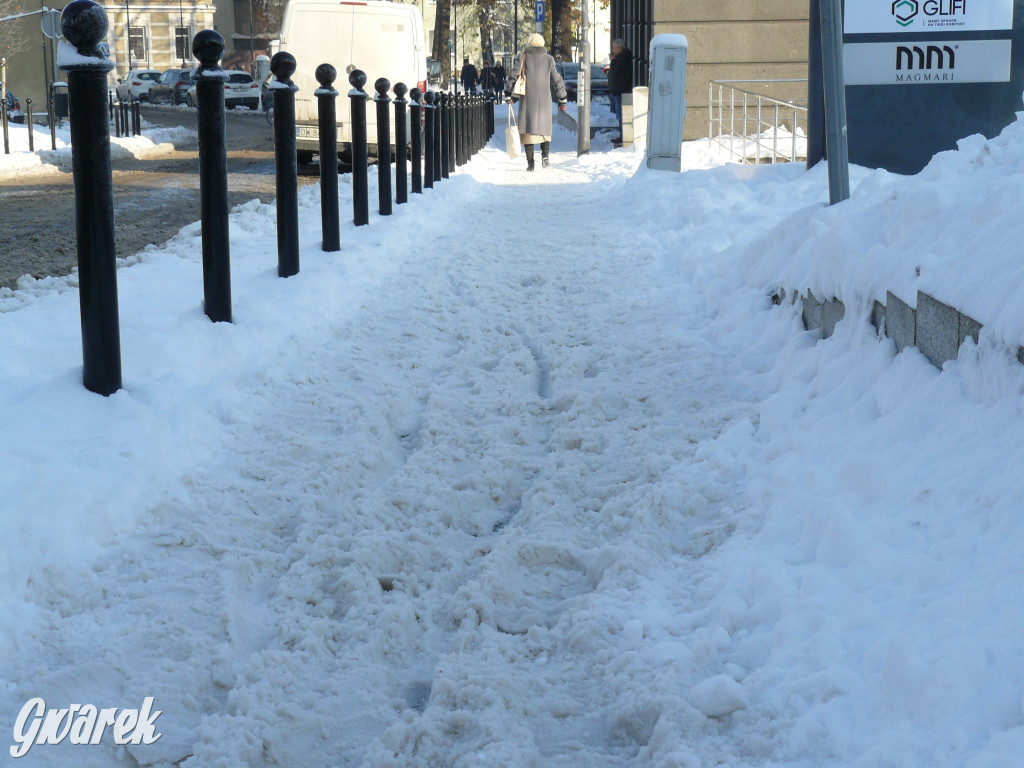 Tarnowskie Góry. Jak oceniacie akcję zima?