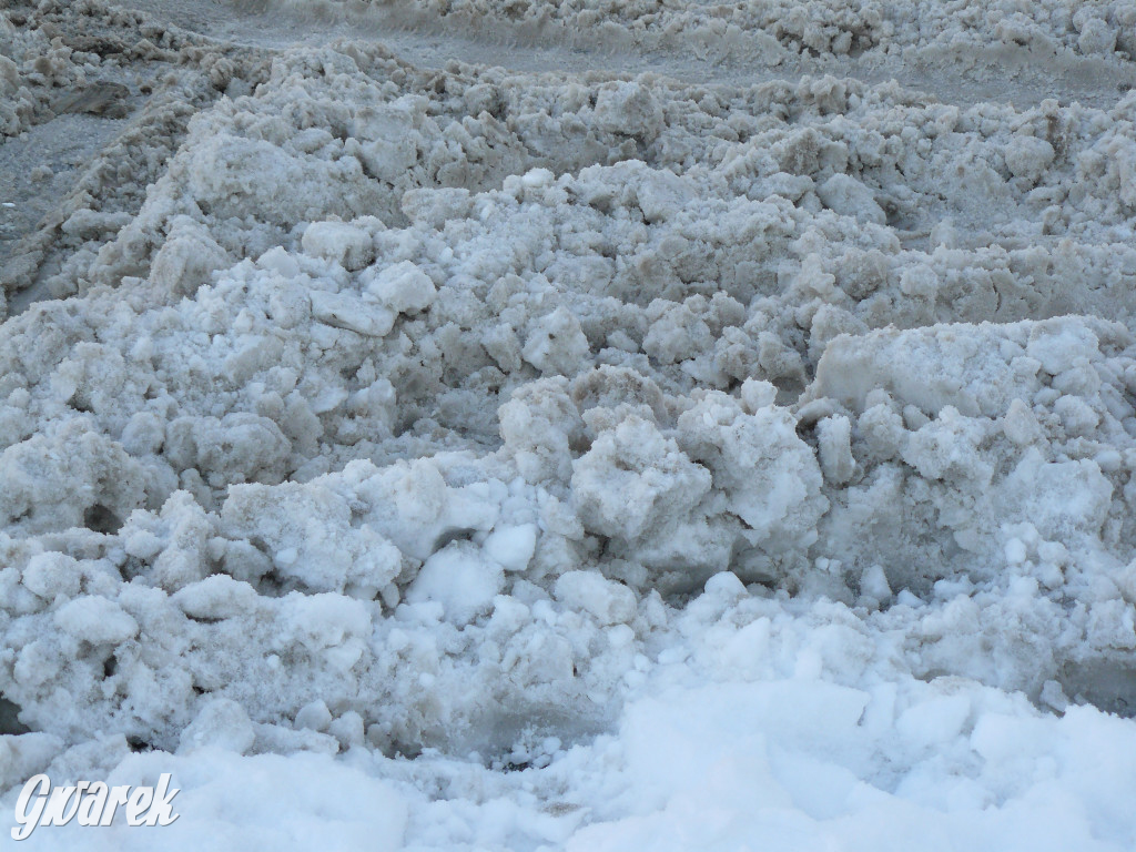 Tarnowskie Góry. Jak oceniacie akcję zima?