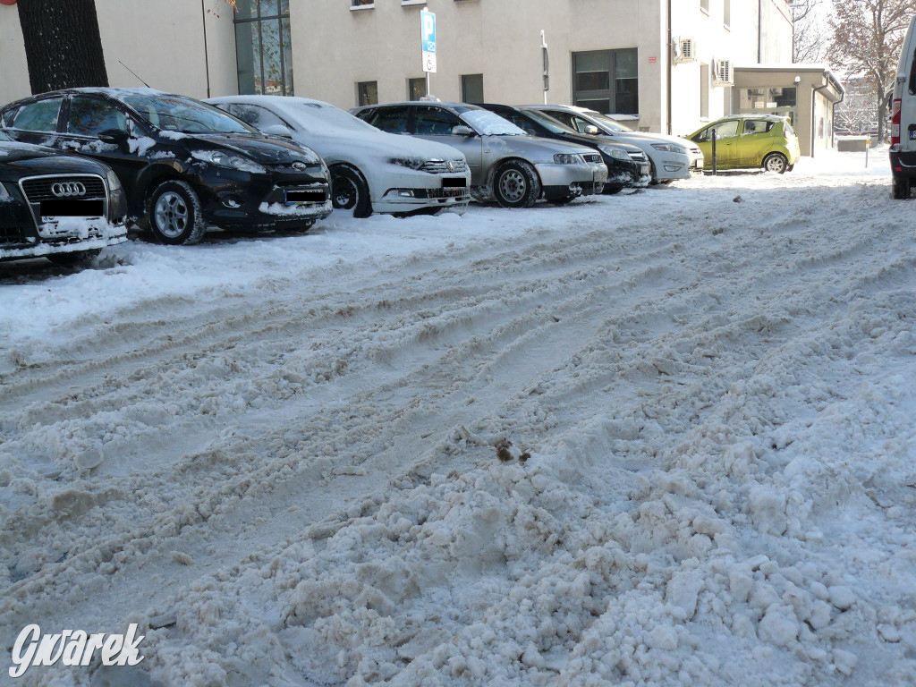 Tarnowskie Góry. Jak oceniacie akcję zima?
