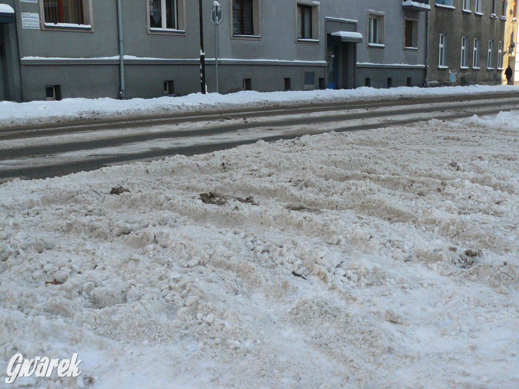 Tarnowskie Góry. Jak oceniacie akcję zima?