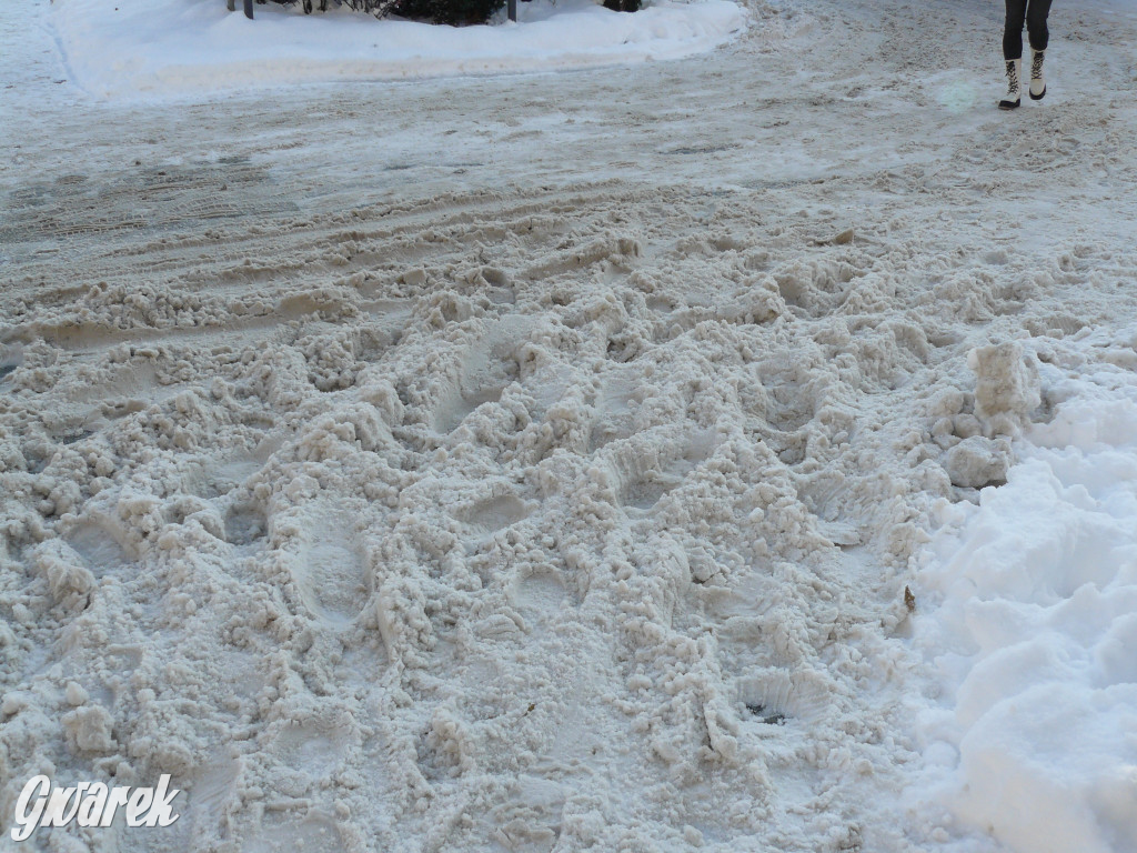 Tarnowskie Góry. Jak oceniacie akcję zima?