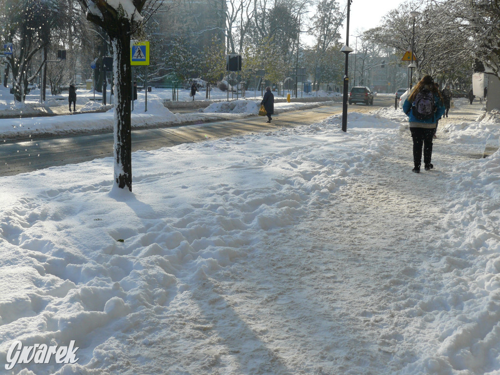 Tarnowskie Góry. Jak oceniacie akcję zima?