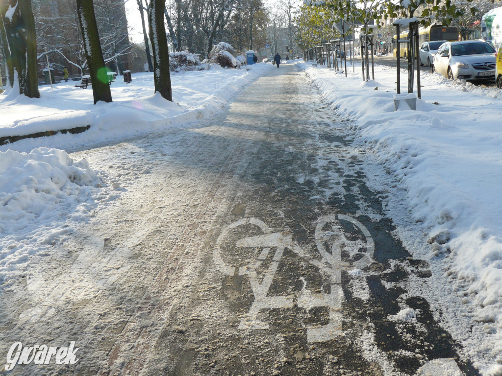Tarnowskie Góry. Jak oceniacie akcję zima?
