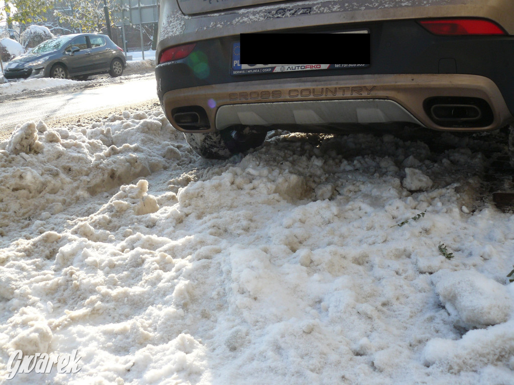 Tarnowskie Góry. Jak oceniacie akcję zima?