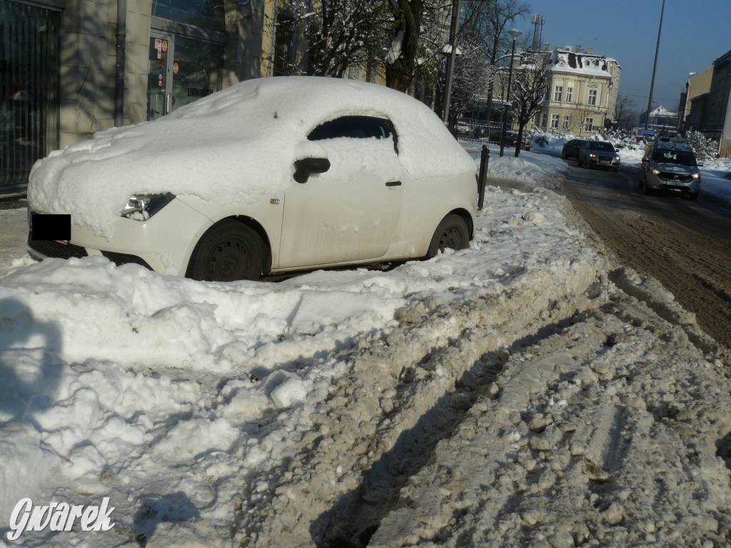 Tarnowskie Góry. Jak oceniacie akcję zima?